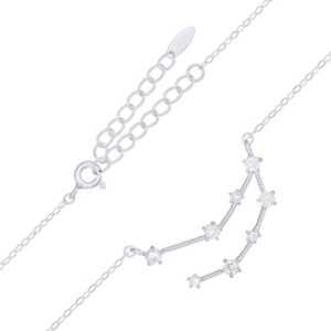 A capricorn star constellation rhodium plated 925 silver necklace