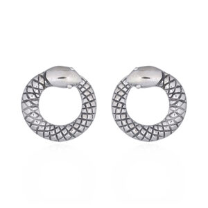 A pair of little circled snake 925 silver stud earrings