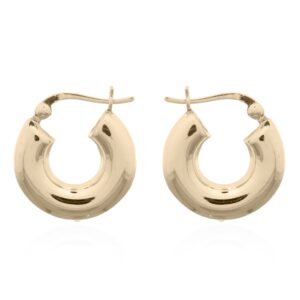 A pair of sterling silver hooks gold plated hoop earrings